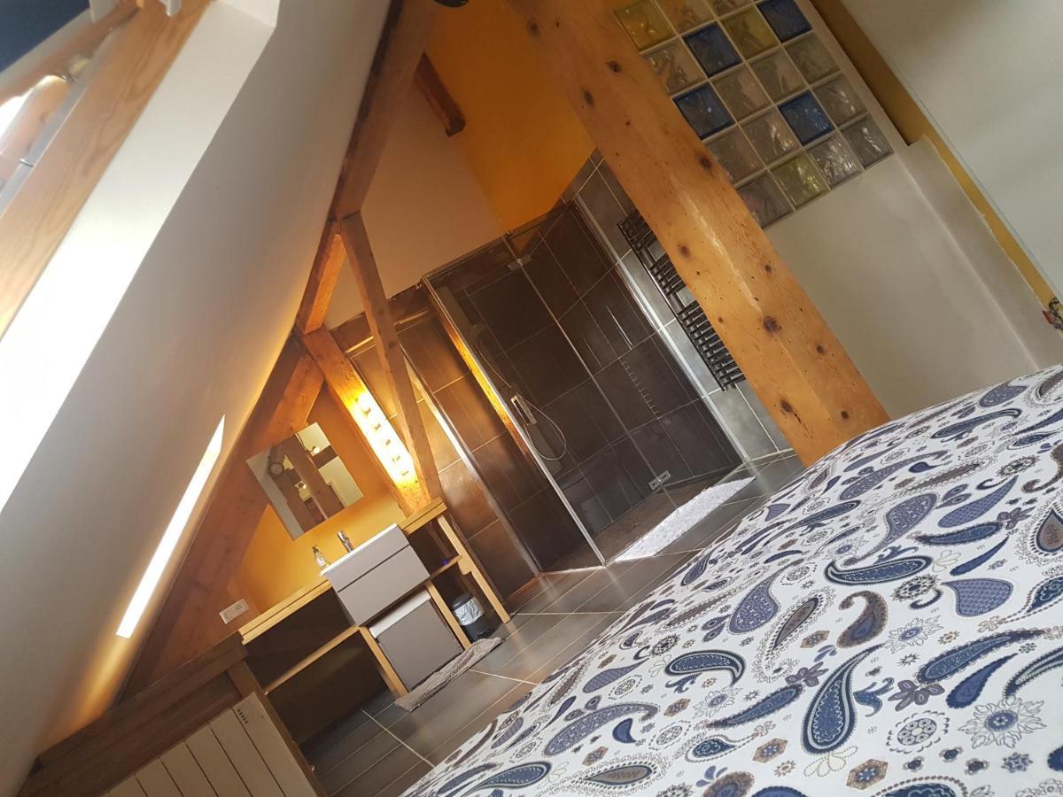 Loft Dans Les Pyrenees Apartment Oloron-Sainte-Marie Exterior foto
