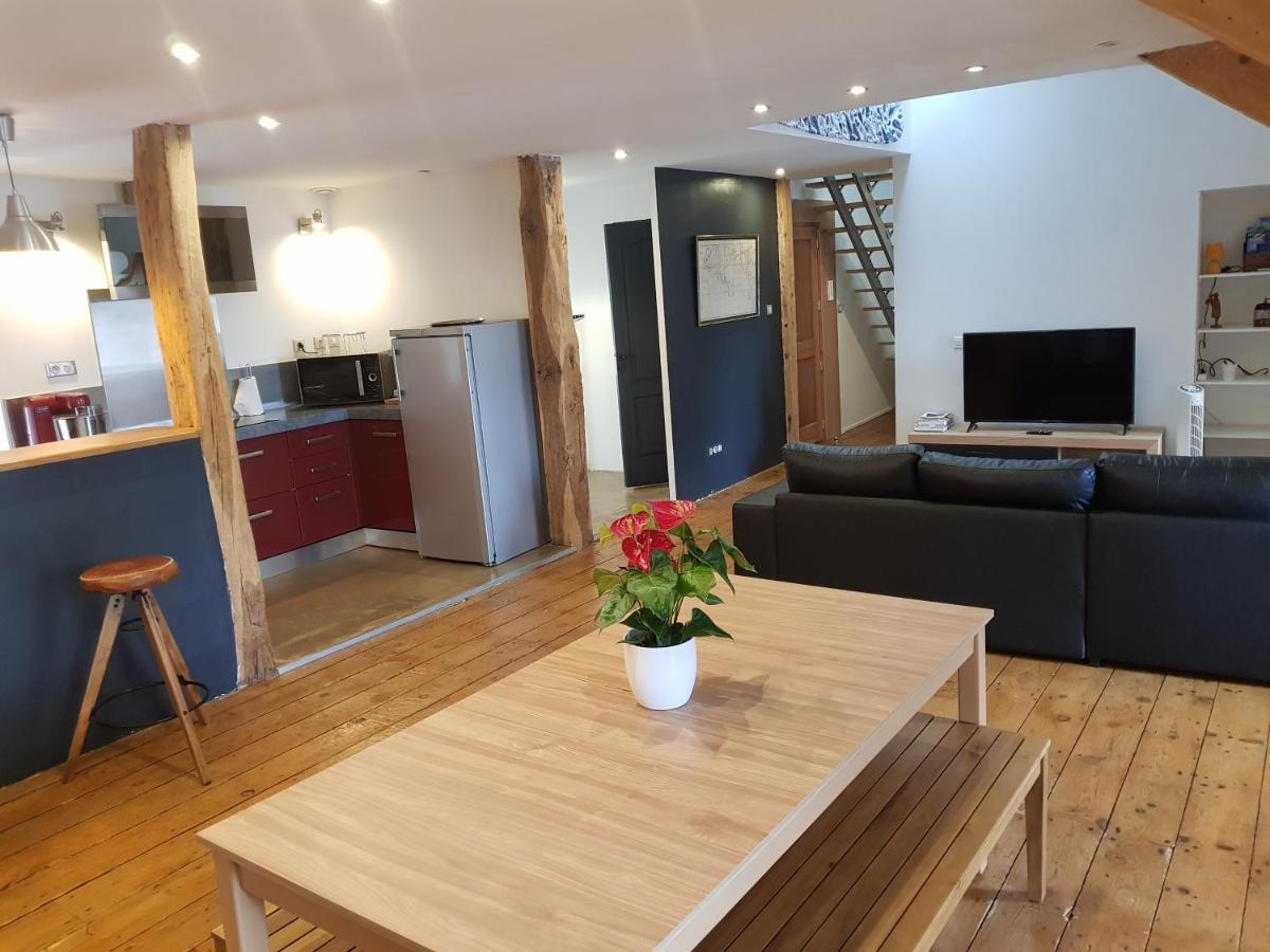 Loft Dans Les Pyrenees Apartment Oloron-Sainte-Marie Exterior foto