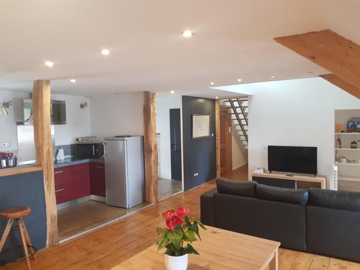 Loft Dans Les Pyrenees Apartment Oloron-Sainte-Marie Exterior foto